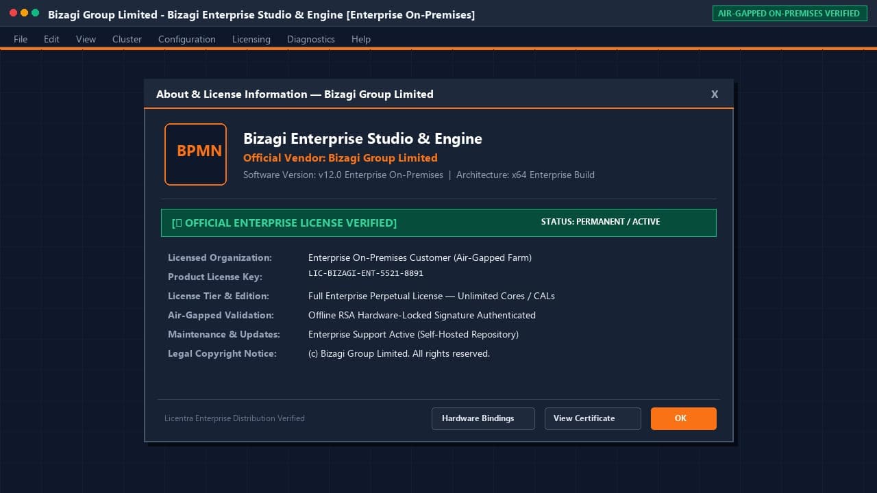 تاییدیه رسمی لایسنس Bizagi Enterprise Studio شرکت Bizagi Group Limited